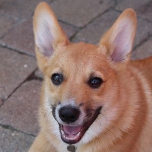 Headed 2 College, everything must go!